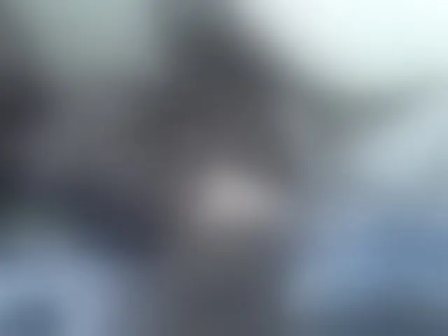 Live sex webcam photo for sexxyme #290982957