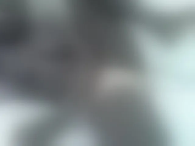 Live sex webcam photo for sexxyme #293354511