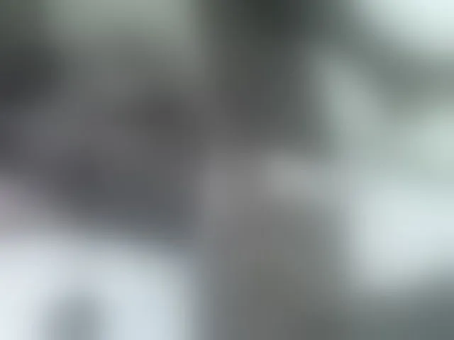 Live sex webcam photo for sexxyme #293370743