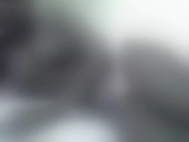Live sex webcam photo for sexxyme #293516955