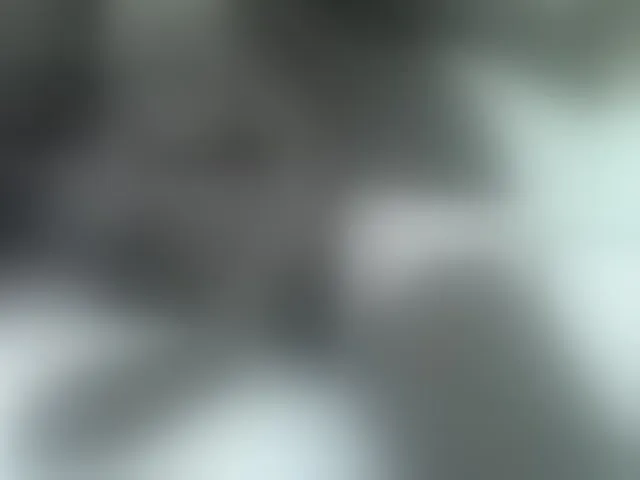 Live sex webcam photo for sexxyme #293543830