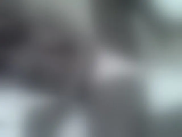 Live sex webcam photo for sexxyme #293546785