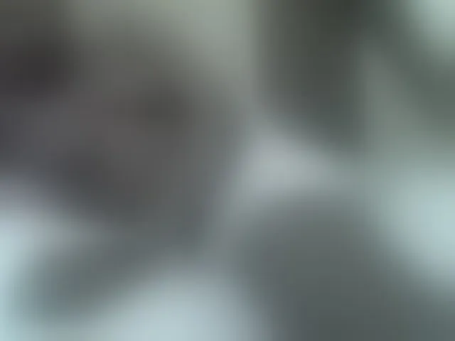 Live sex webcam photo for sexxyme #293569402
