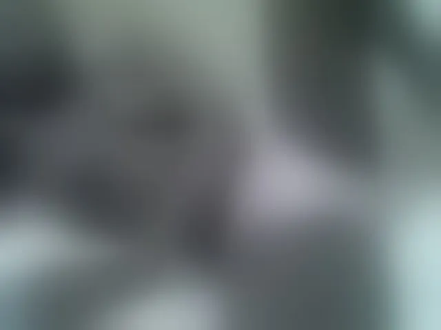 Live sex webcam photo for sexxyme #293777722