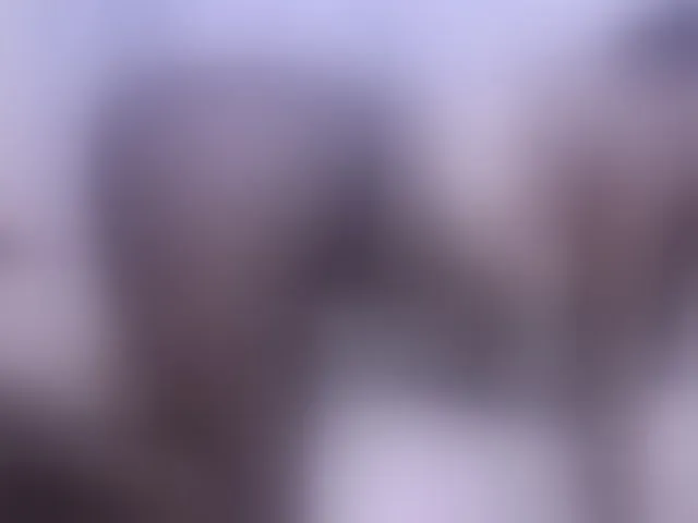 Live sex webcam photo for sexy-bbae #293354513