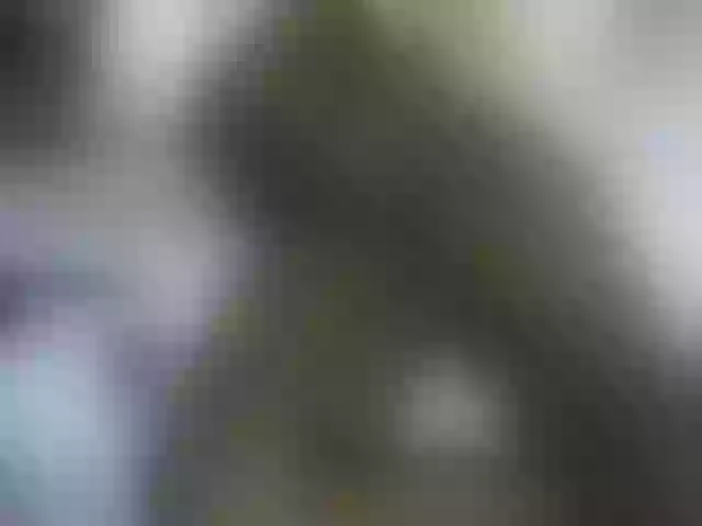 Live sex webcam photo for sexy-cate #276554581