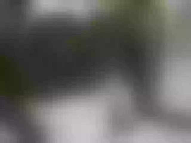 Live sex webcam photo for sexy-cate #276558455