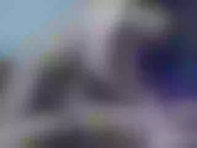 Live sex webcam photo for sexy-coup1e #271910313