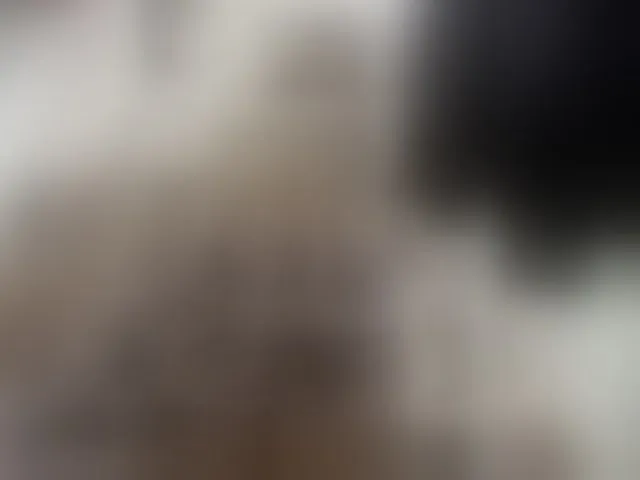 Live sex webcam photo for sexyasian27 #292732497