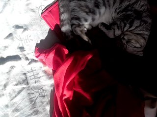 Live sex webcam photo for sexybitch007 #216094027