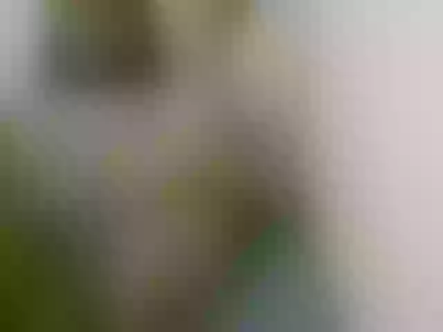 Live sex webcam photo for sexybounty2 #292258152