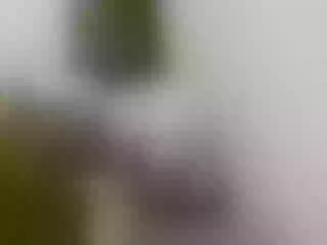 Live sex webcam photo for sexybounty2 #292286214