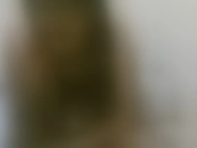 Live sex webcam photo for sexybounty2 #292352633