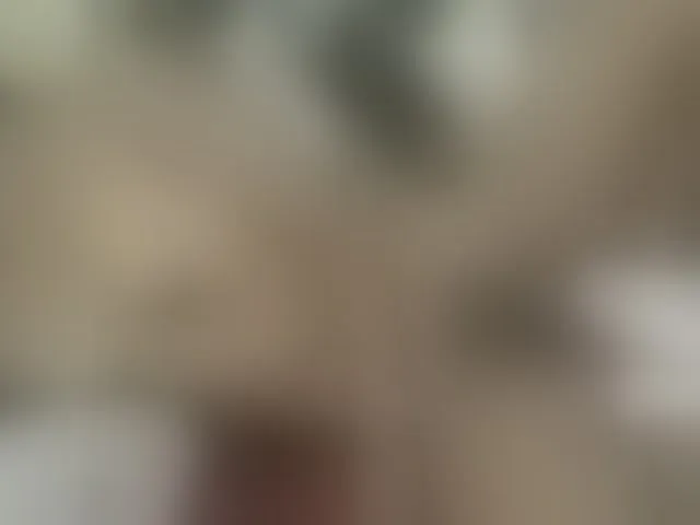 Live sex webcam photo for sexybounty2 #293327839