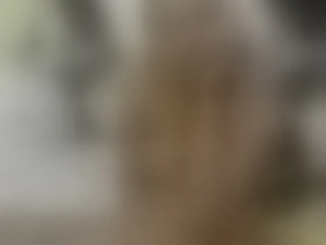 Live sex webcam photo for sexybounty2 #293619327