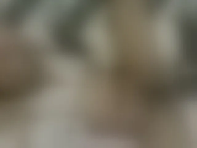 Live sex webcam photo for sexybounty2 #293661989
