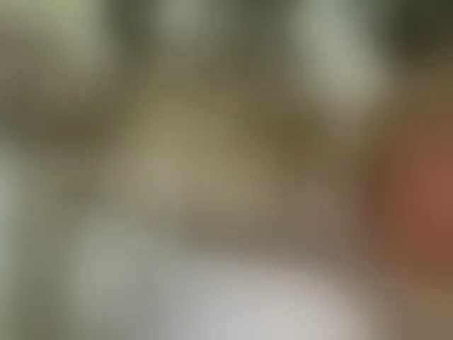Live sex webcam photo for sexybounty2 #293693999