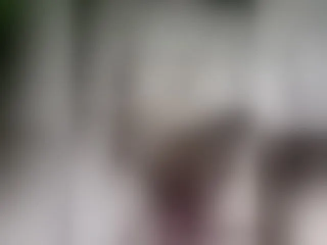 Live sex webcam photo for sexycharu #293244084