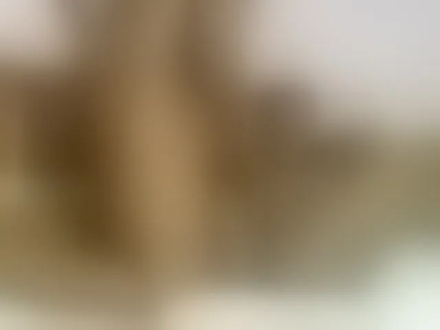 Live sex webcam photo for sexyebonita1 #293762460