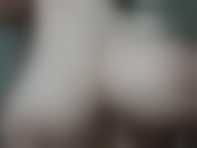 Live sex webcam photo for sexymeriem #293582633