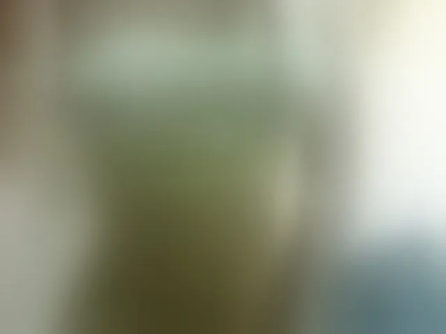 Live sex webcam photo for sexysafiravenus #292555164