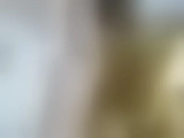 Live sex webcam photo for sexysafiravenus #292850899