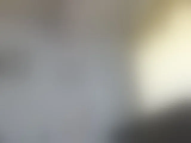 Live sex webcam photo for sexysafiravenus #293380219
