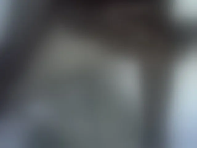 Live sex webcam photo for sexyshary #293457284
