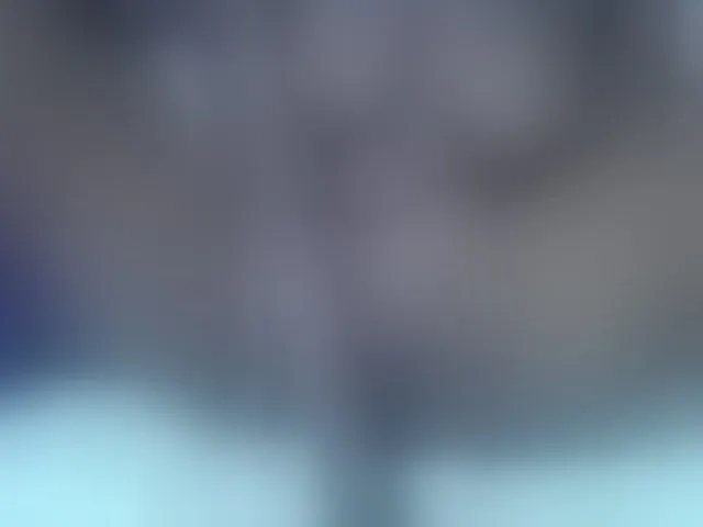 Live sex webcam photo for sexyshary #293648790