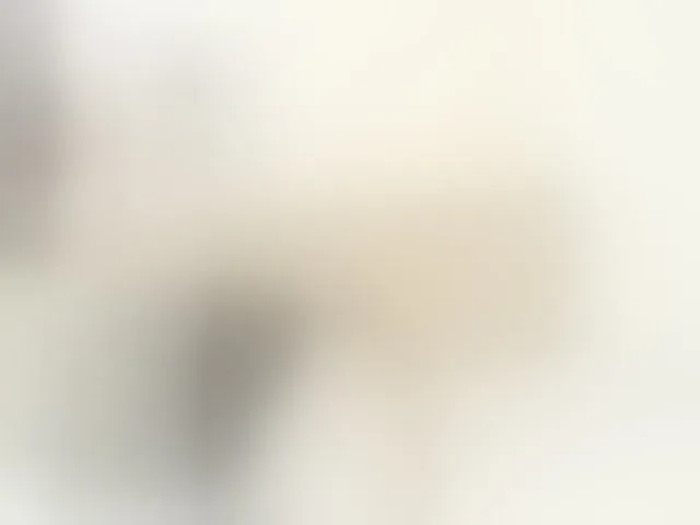 Live sex webcam photo for shaiira #292841547
