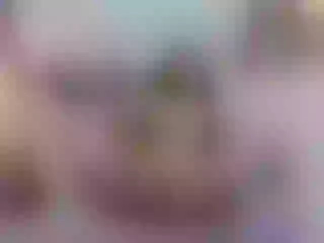 Live sex webcam photo for shaila22 #274619566