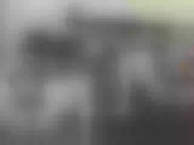 Live sex webcam photo for shalomkitty #291777655