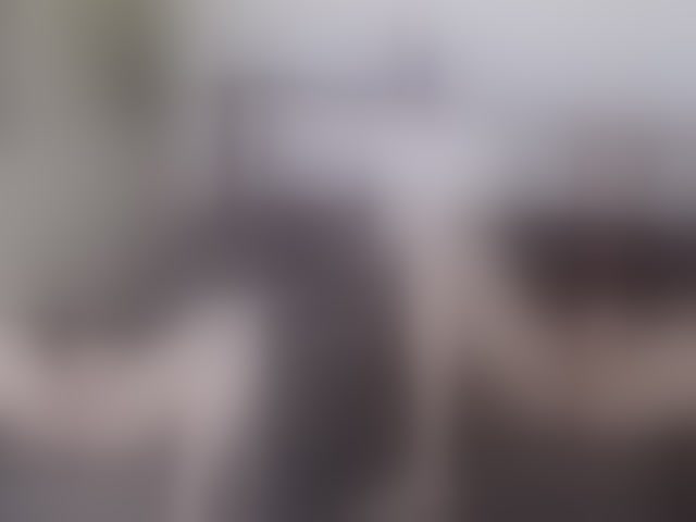 Live sex webcam photo for shalomkitty #294091179