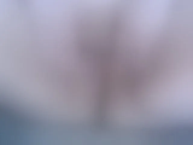 Live sex webcam photo for shaman78a #291535647