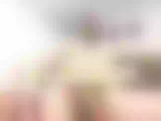 Live sex webcam photo for shane42-1 #278076470