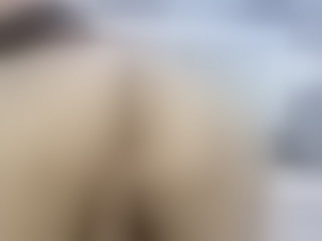 Live sex webcam photo for shantalanastasiia #293720895
