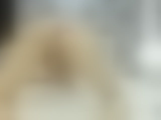 Live sex webcam photo for shantalanastasiia