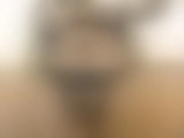 Live sex webcam photo for shantallwolf #274014093
