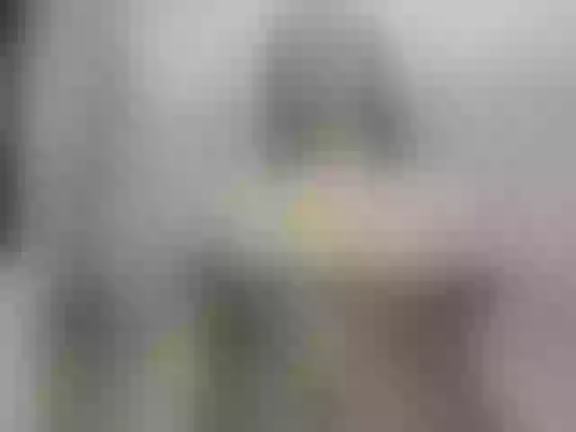 Live sex webcam photo for sharik-wright #276459175