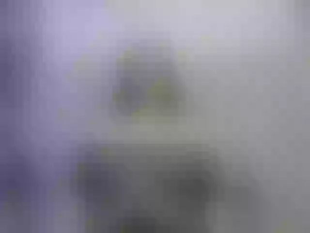 Live sex webcam photo for sharik-wright #276506076