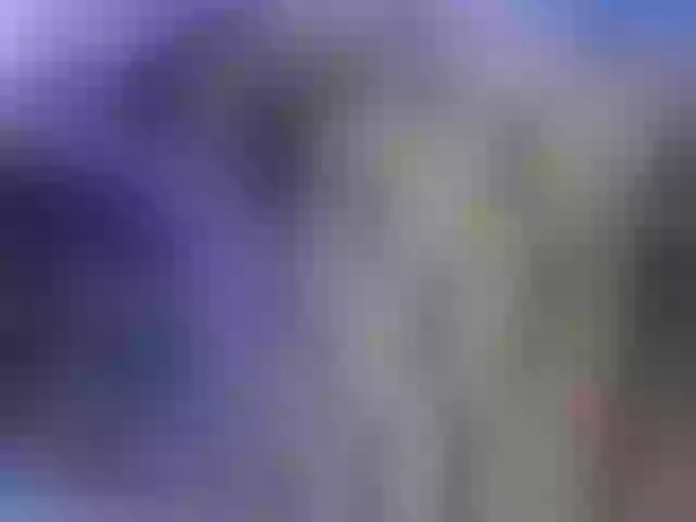 Live sex webcam photo for shelly-hot1 #273544652