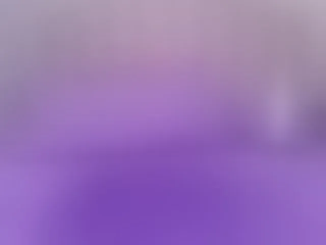 Live sex webcam photo for shels-loreds #292717707