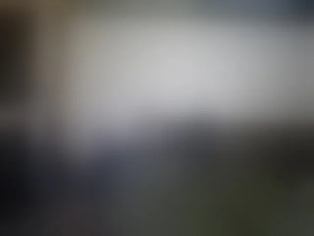 Live sex webcam photo for shevamodel #292645129
