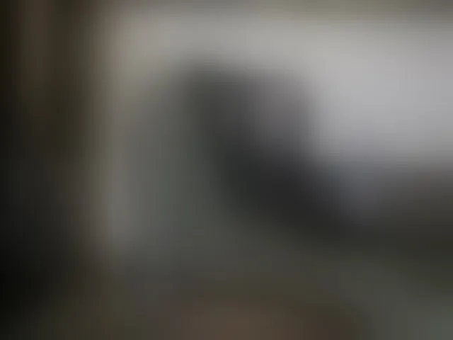 Live sex webcam photo for shevamodel #292673575