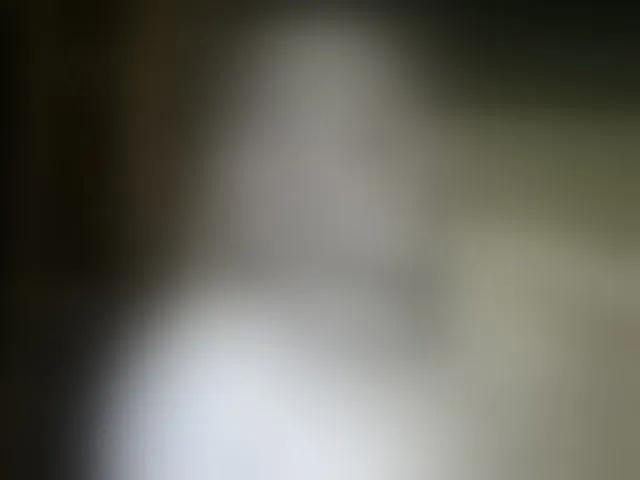 Live sex webcam photo for shevamodel #293646295