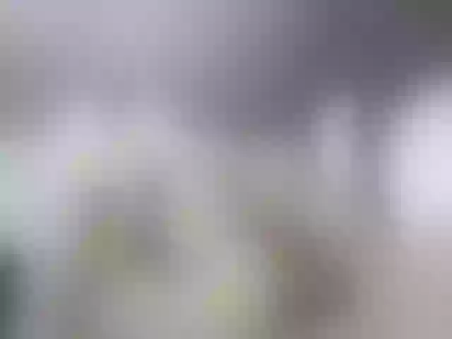 Live sex webcam photo for silvaty #275968392
