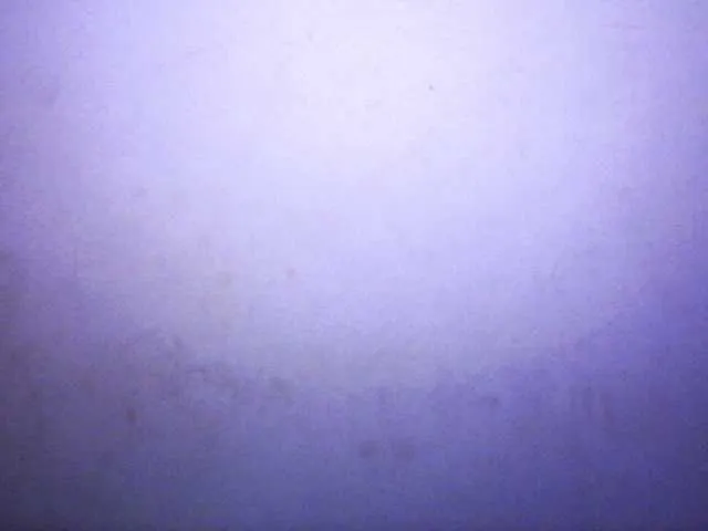 Live sex webcam photo for silviaLaBombe #290743863