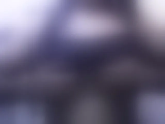 Live sex webcam photo for silviaLaBombe #293991922