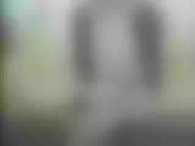 Live sex webcam photo for siminafoxx4u #273580339