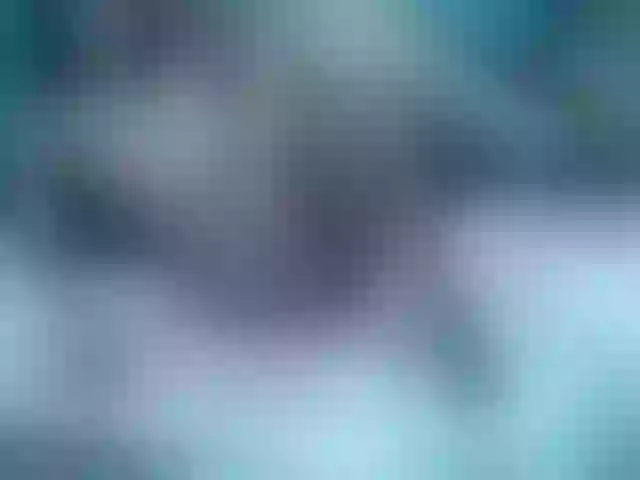Live sex webcam photo for skinny-brenda #290944974